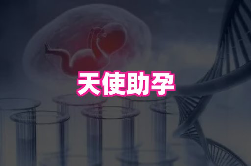 厦门助孕网站 1