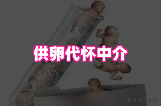 厦门助孕网站 2