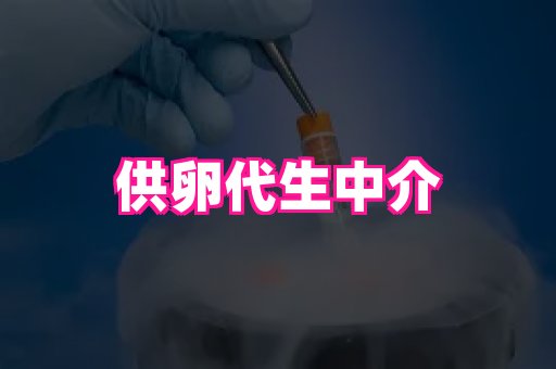 厦门助孕网站 4